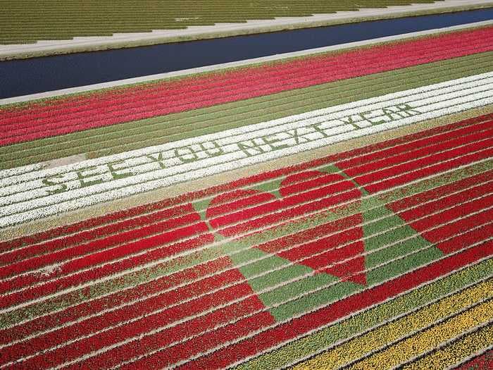 A Dutch flower farm spelled out a heartwarming message in their tulips for tourists forced to cancel their travel plans