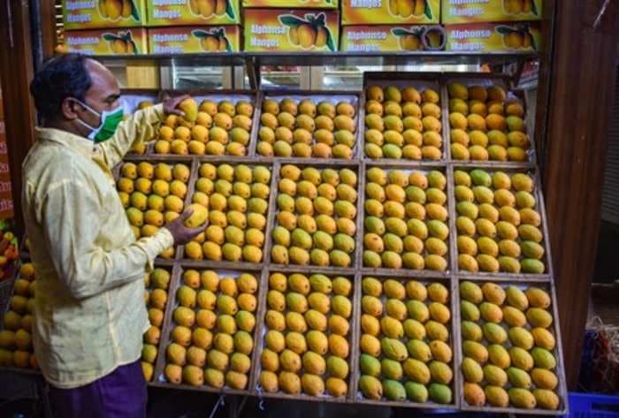 Mango farmers could suffer almost 100% losses if lockdown persists