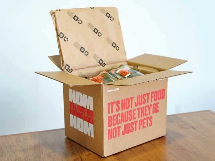 Nom Nom is a monthly delivery service for fresh cat and dog food — here are our impressions after feeding it to 3 cats
