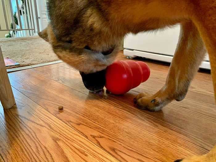 The Kong Wobbler is a food-dispensing toy that keeps my dog from scarfing down his meals