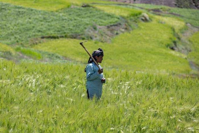 India now has a ₹1 lakh crore fund to boost farm products storage⁠— and startups are invited too