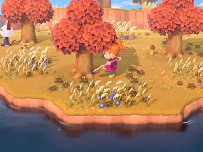 You can earn $2,500 to create a custom island in 'Animal Crossing'