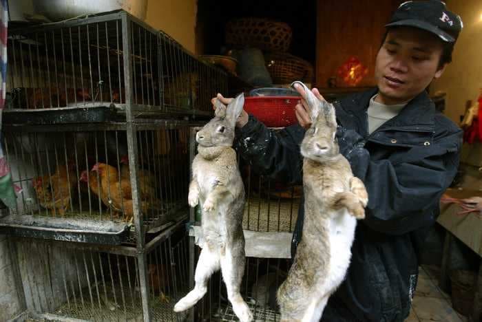 Wuhan has banned eating wild animals and nearby provinces are offered farmers cash to stop breeding exotic livestock