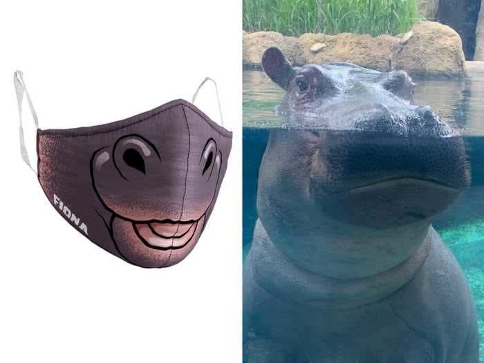 You can now buy a face mask that looks like Fiona the hippo's snout from the Cincinnati Zoo