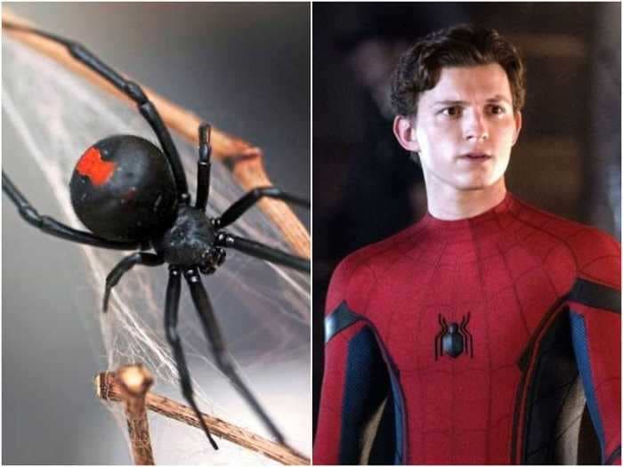 3 young boys from Bolivia let a black widow bite them, hoping they'd turn into Spider-Man