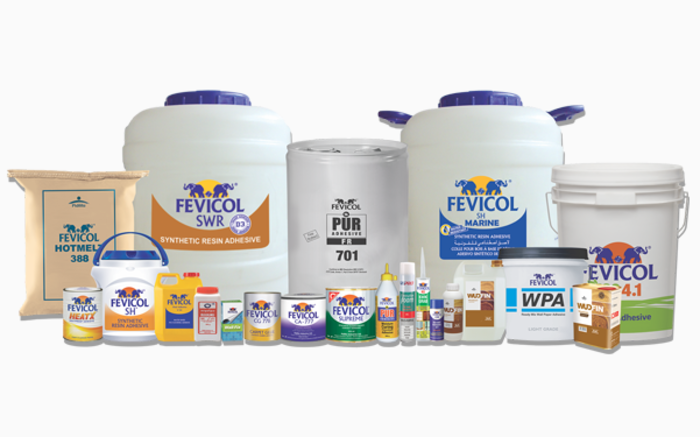 Fevicol, MSeal, and Dr Fixit make over ₹3,000 crore a year in revenue — but that’s not enough for Pidilite to recover from COVID crisis