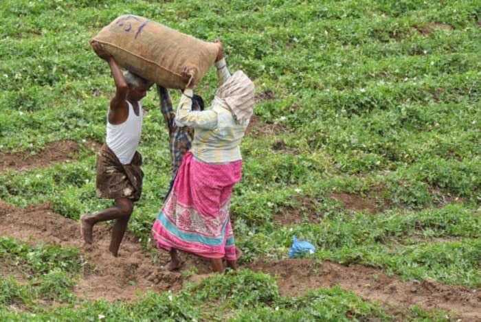 PM Kisan Samman Nidhi scheme's sixth instalment will be sent to 10 crore farmers from August 1