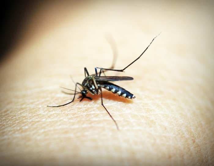 Los Angeles County reports first death due to West Nile virus this year