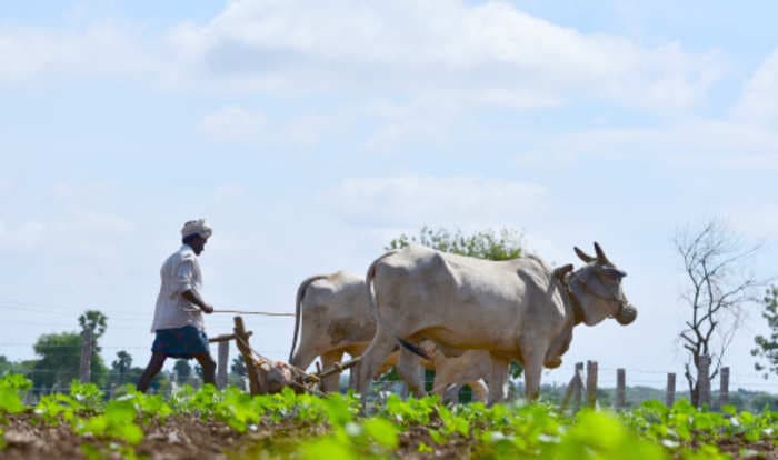 Kisan credits cards with ₹1 lakh crore limit to be doled by government