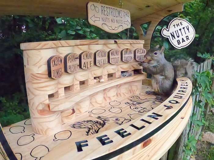 An Ohio man built an outdoor 'bar' for his neighborhood squirrels to snack on cashews and pecans