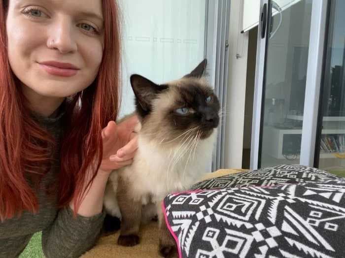 Job diary: I'm a cat sitter who just finished my first pandemic-era job. Here's how I landed the gig in a competitive cat-sitting market — and why it was surprisingly easy.