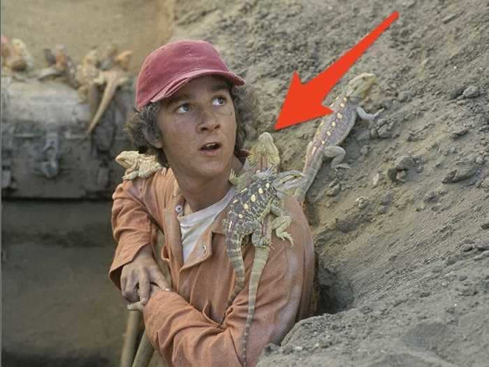 16 things you probably didn't know about 'Holes'