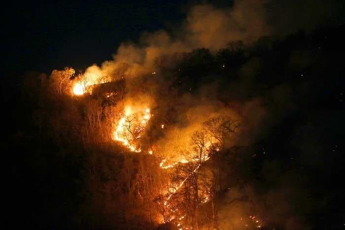 Brazil's Mato Grosso declares environmental emergency after wildfire destroyed 1.4 million hectares of vegetation