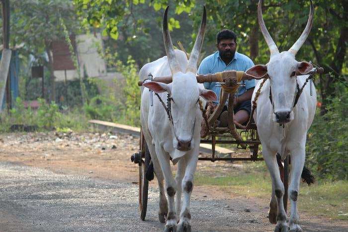 The govt. has transferred Rs 38,282 crore to farmers under the PM-KISAN scheme