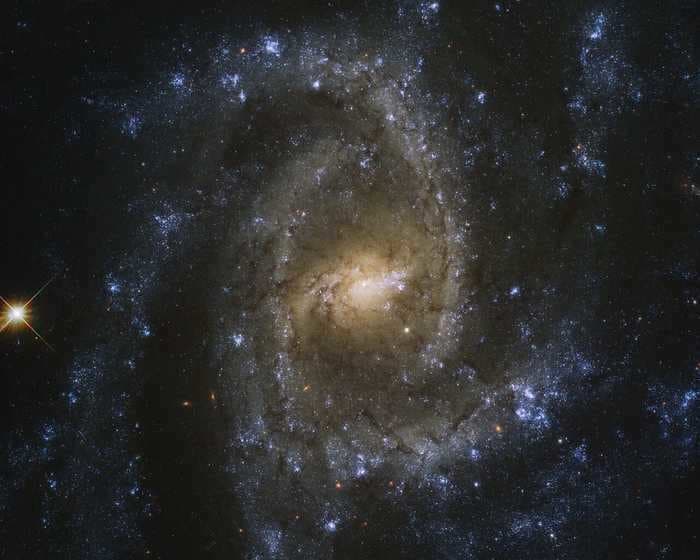 The Hubble telescope captured a stunning photo of the distant spiral galaxy named 'Eye of the Serpent'