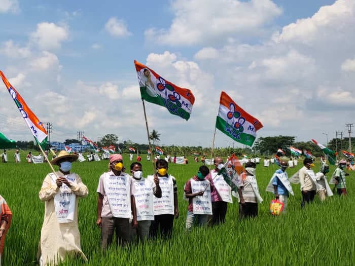 ‘APMC and MSP will continue' — why Indian farmers must not fear the new laws