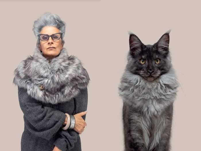 A photographer captured images of cats and owners who look hilariously alike