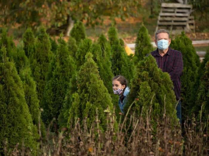 Walmart will deliver your Christmas trees and hang your lights for you this year — see how it works