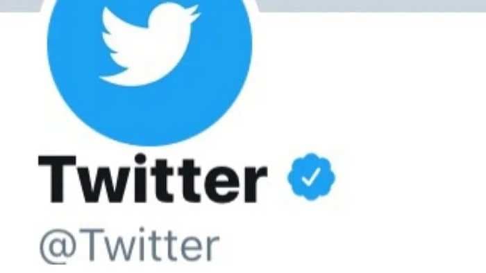 Twitter's coveted blue ticks are making a comeback next year along with new account types and labels