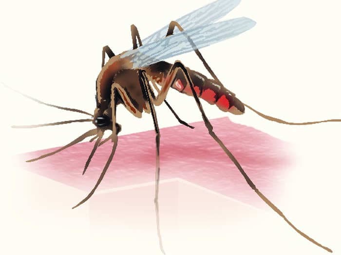 India records the largest reduction in malaria cases in SE Asia between 2000-2019: WHO