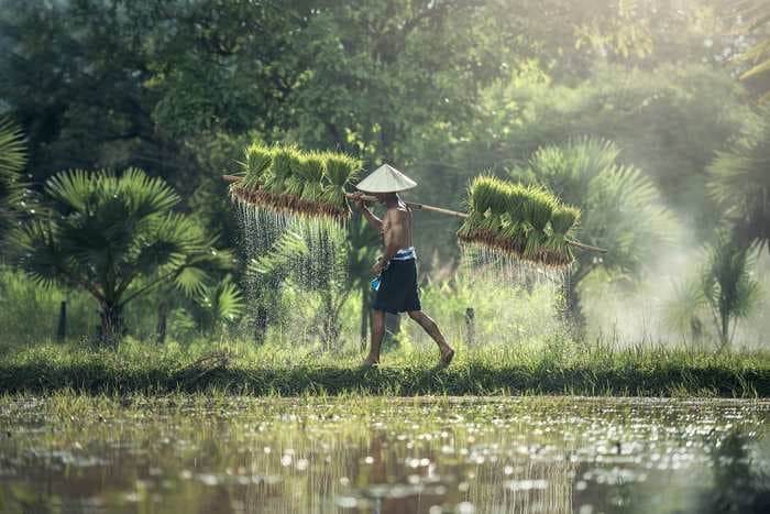 PM Kisan Samman Nidhi Yojana’s seventh installment credited — Here’s all you need to know