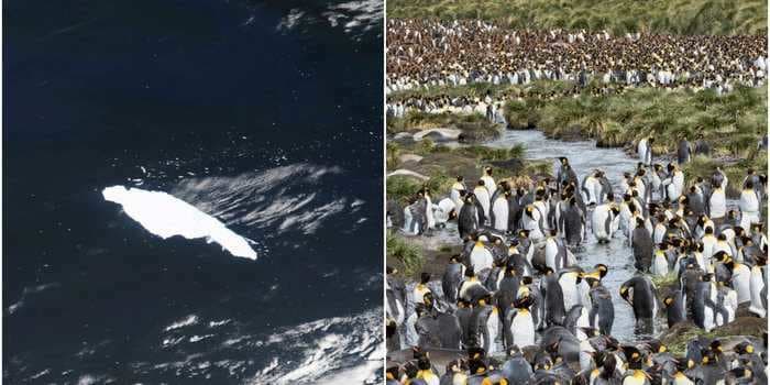 An iceberg the size of Delaware that was heading straight for a penguin colony island has broken into two pieces