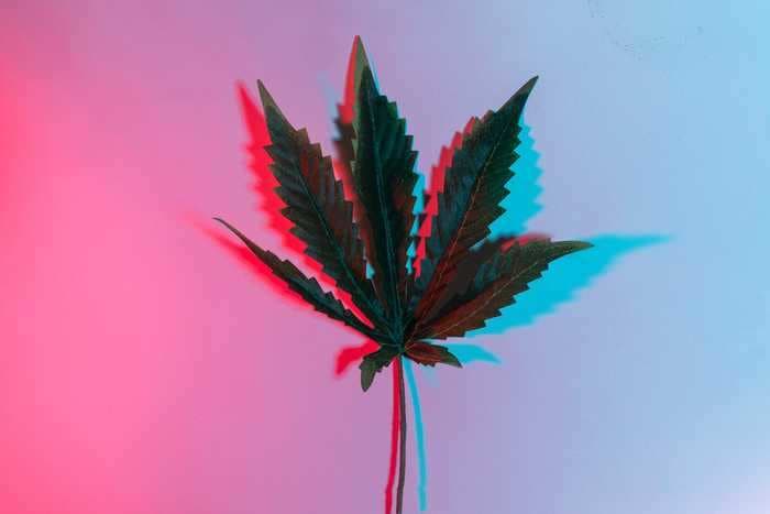 The 26 cannabis startups set to soar in 2021