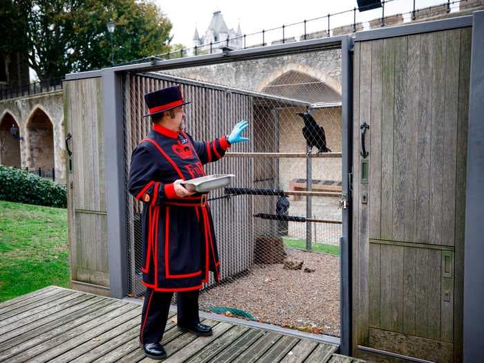 According to legend, 'the kingdom will fall' if the Queen's Ravens leave the Tower of London. One of the birds is now missing, but don't panic - yet.