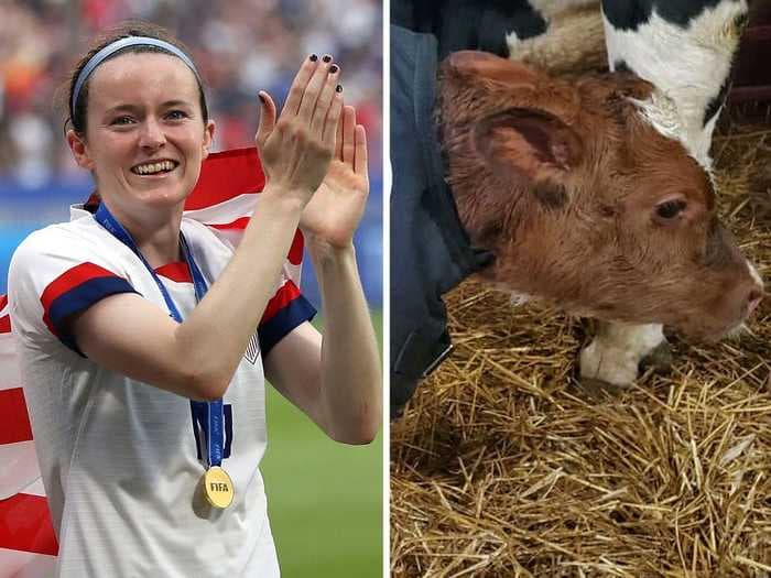 MOOVING NEWS: A pro soccer club named its team cow in honor of USWNT superstar Rose Lavelle