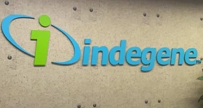 Carlyle, Brighton Park invest $200 million in Indian healthtech company Indegene