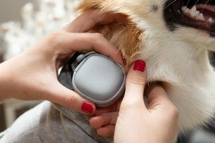 Samsung, LG to launch home appliances that take care of your pet