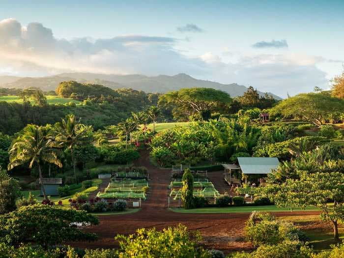 A resort in Hawaii says bookings surged to pre-pandemic levels after it became a 'bubble resort'