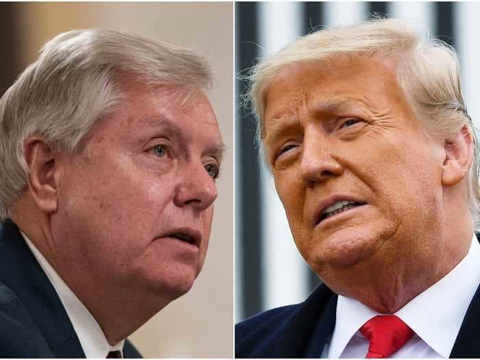 Lindsey Graham plans to meet with Trump to discuss the future of the GOP and to urge him to give up on 'revenge'