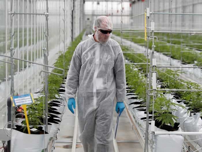 Cannabis companies raised $1.4 billion in January