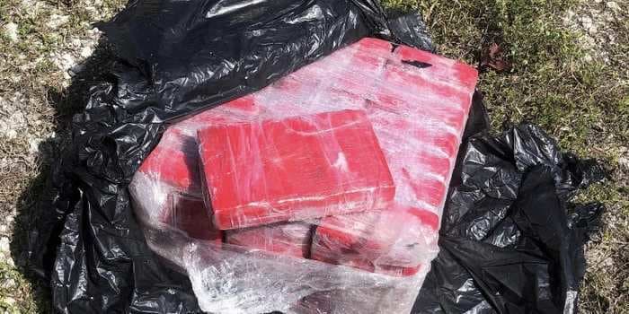 A snorkeler discovered 25 bricks of cocaine worth more than $1.5 million in water off the Florida Keys