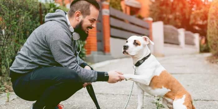 Dog trainers share step-by-step guides to teaching your dog 5 easy (and adorable) tricks