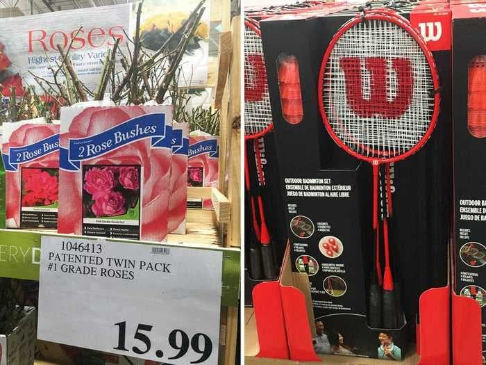 15 of the best seasonal items to buy at Costco right now