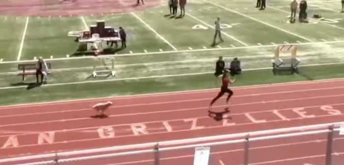 A very speedy dog snuck into a high school relay race and ran the final 100m almost as fast as an Olympic sprinter
