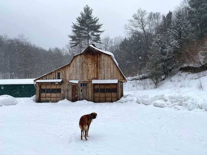 I left a life I loved in NYC and moved to a tiny town in rural Vermont during the pandemic. I miss takeout and trash pickup, but overall I'm thrilled with the decision.