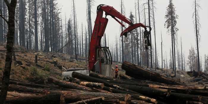 A 325% surge in lumber prices over the past year has pushed new-home prices up by $24,000 apiece