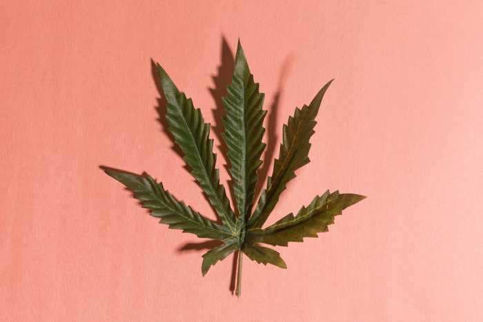 I'm pregnant and I don't want to quit using marijuana. Do I have to?