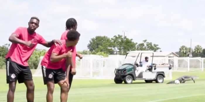 A massive alligator invaded an MLS side's Florida training session, and players halted their workout to take photos with the beast