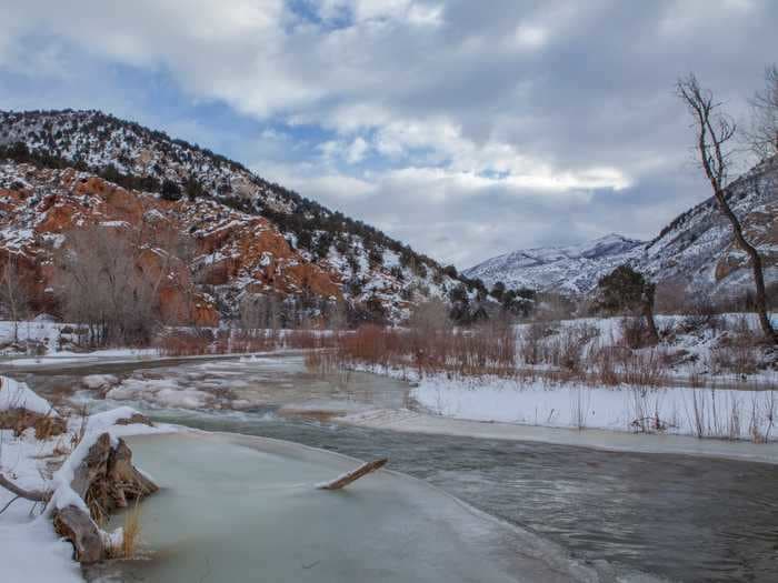 A woman was found living in a Utah national forest after disappearing nearly 6 months ago. A survival expert explains how she may've done it.