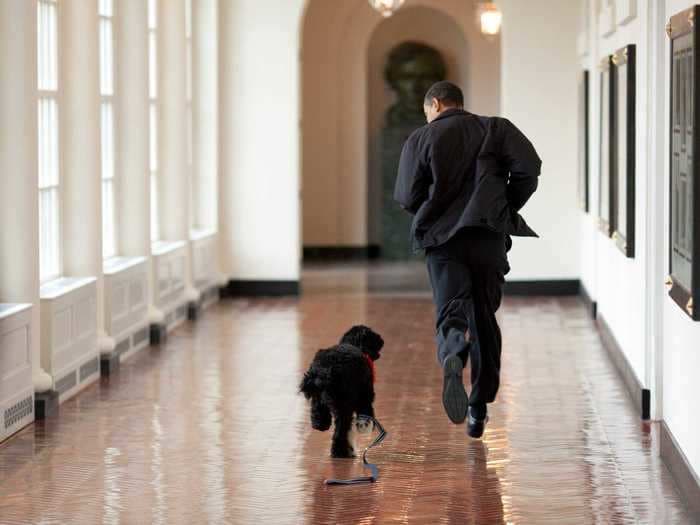 The most iconic photos of White House pets throughout history