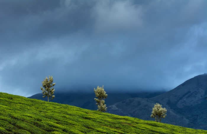 Up-close and not so personal with Munnar’s pit vipers, gliding frogs and more