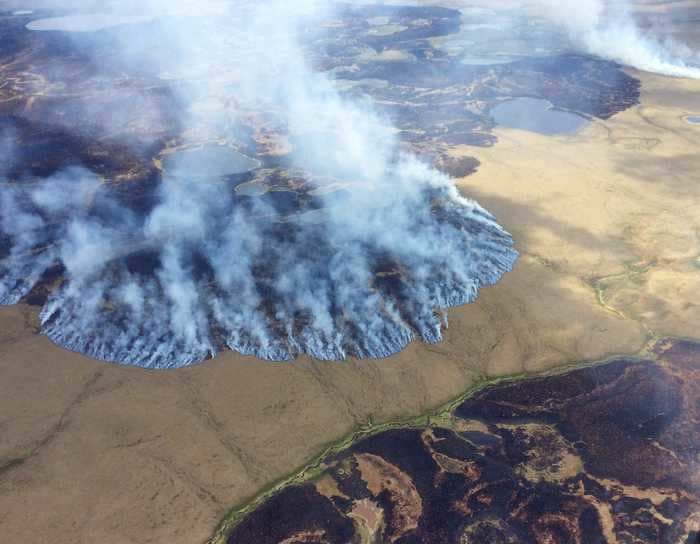 'Zombie fires' smolder under the snow during the winter then rise from the dead come spring. They may get far more common.