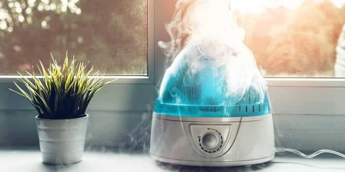 How to clean and disinfect a humidifier and prevent mold buildup