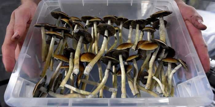 Over a third of US voters say magic mushrooms and other psychedelics have a medical use, new poll shows