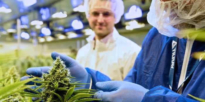 Tilray and Sundial embark on 2-day rally after Amazon says it stands behind federal marijuana legalization