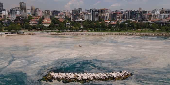 Photos show slimy 'sea snot' clogging up the sea near Turkey